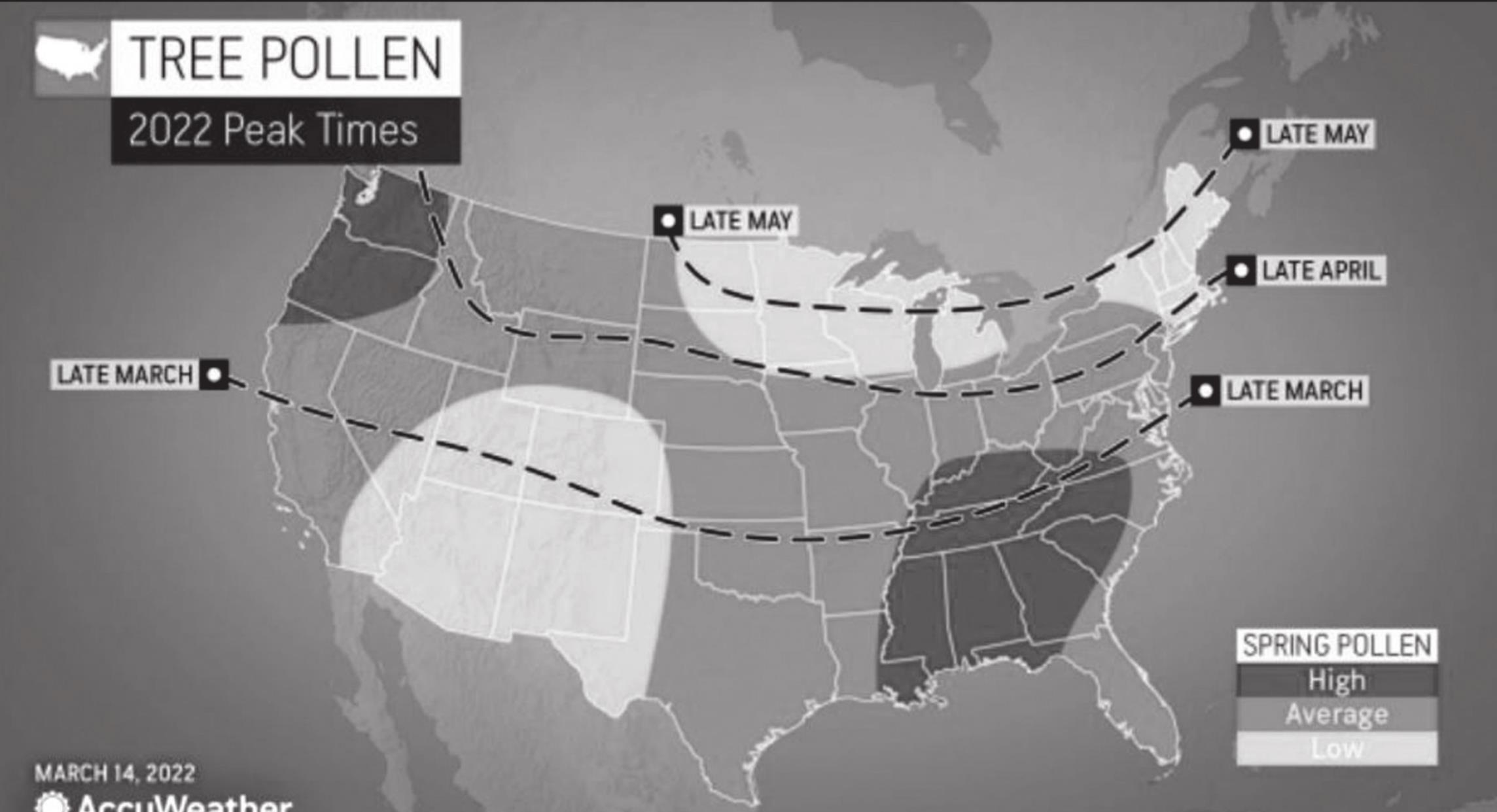 AccuWeather’s 2022 US Spring Allergy Forecast Seminole Producer