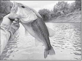 Latest Oklahoma Fishing Report for December 31, 2025