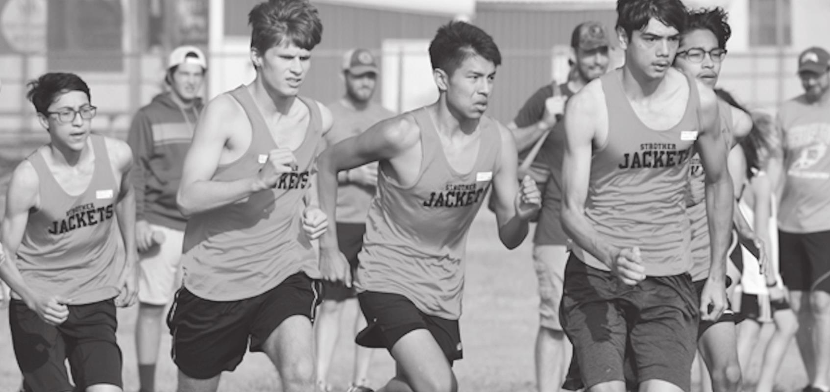 Swarm of Yellowjackets Seminole Producer