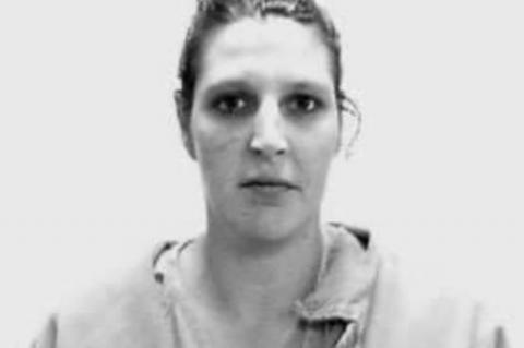 Seminole Woman Arrested on Domestic Charges