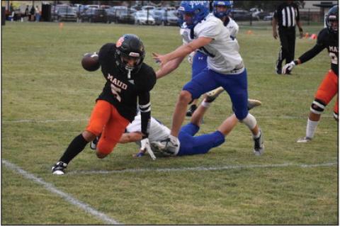 Maud Tigers Take Care of Paoli Pugs