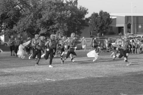 Article Image Alt Text