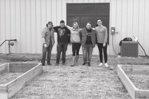 Article Image Alt Text