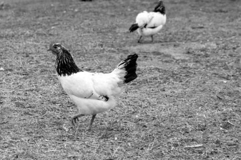 Okla. Agriculture Leadership Program Accepting Applications For Class XXI