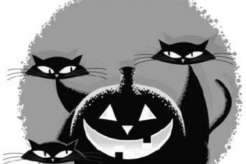 Purrrrfectly’ Fun Facts About Black Cats