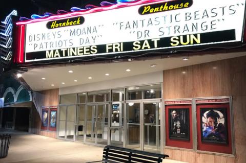 Article Image Alt Text