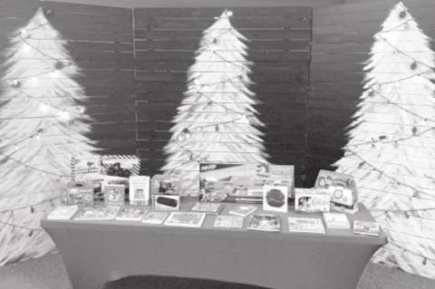 Article Image Alt Text