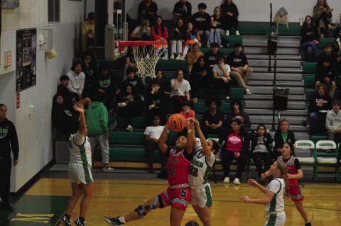 Varnum Whippets Advanced to Finals in Regionals