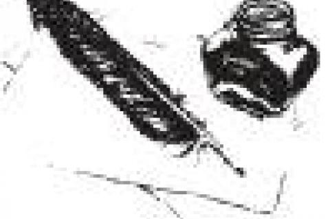 She’s Gone by Plane, by Boat, by Train, by Bus