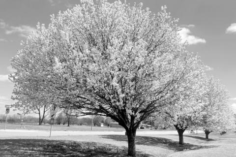 Has Spring Finally Sprung?