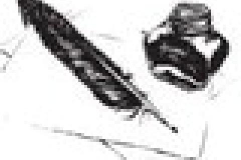 The Howlers And The Blasters