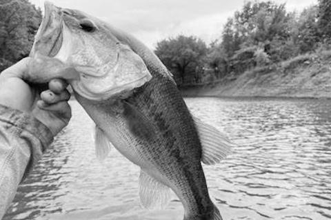 Latest Fishing Report for August 28, 2024