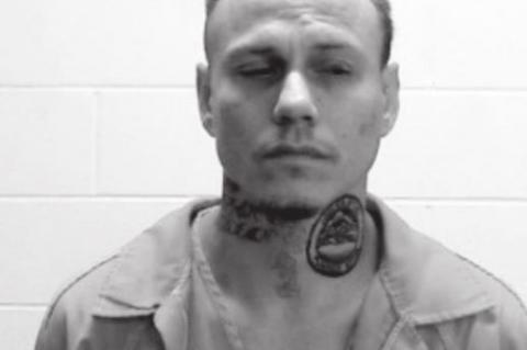 Article Image Alt Text