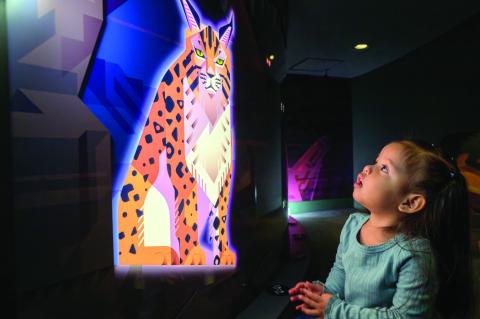 Nothing Else Like it: