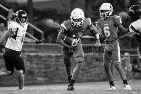 Article Image Alt Text