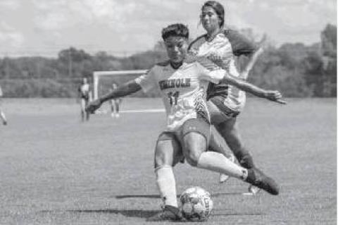 Article Image Alt Text