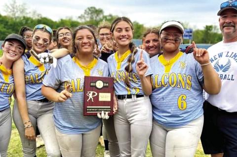 New Lima Falconettes Are District Champs