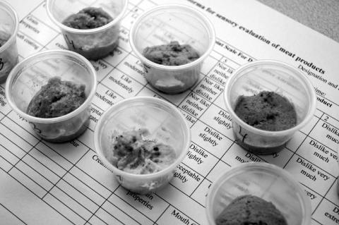 FAPC Studies Potential of Meat-Based Hummus