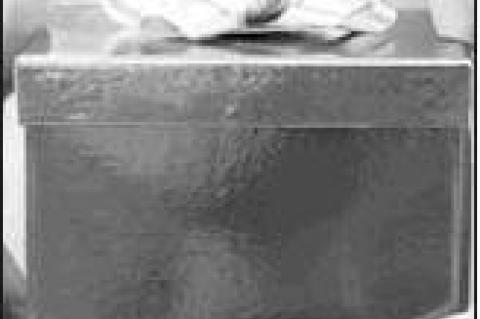 Article Image Alt Text