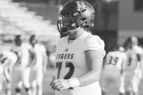 Article Image Alt Text