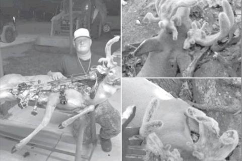 Article Image Alt Text