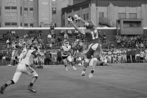 Article Image Alt Text