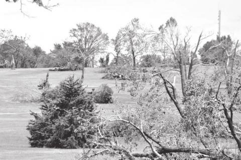 Tornado Takes Out Hundreds of Trees at Golf Course