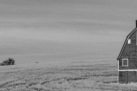 Tips And Tricks For Beginning Gardeners