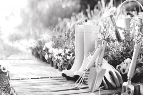 Cold Frames, Greenhouses, and Beyond: Four-Season Gardening