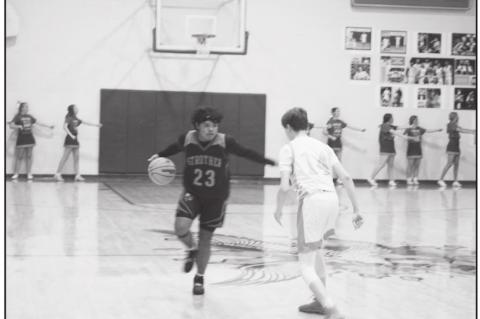 Article Image Alt Text