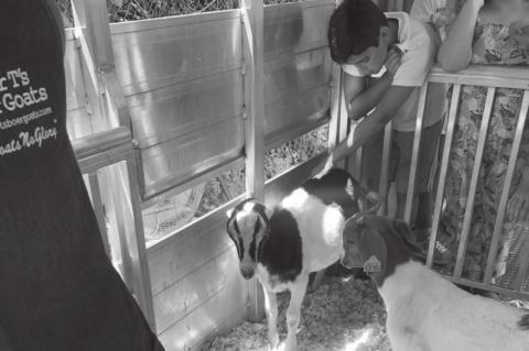 Seminole Students Go Crazy for Goats!