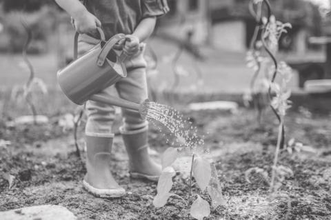 Article Image Alt Text