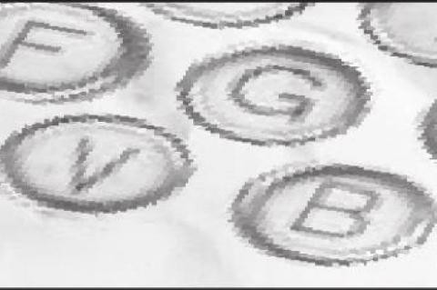 Article Image Alt Text