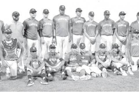 Article Image Alt Text