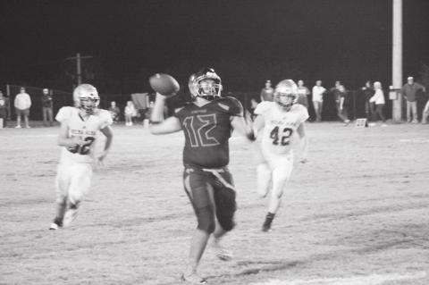 Article Image Alt Text