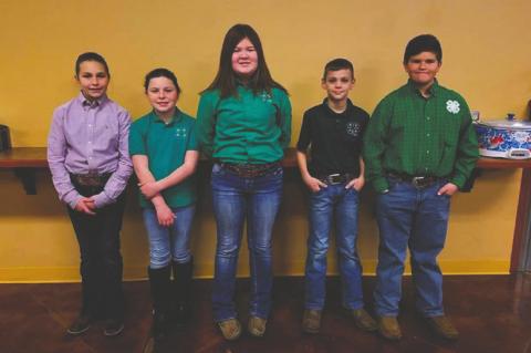 Article Image Alt Text