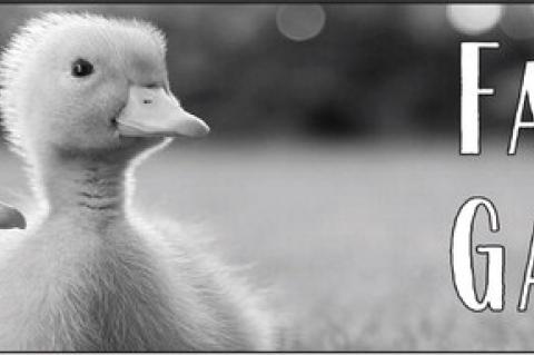 A Guide to Creating Outdoor Rooms