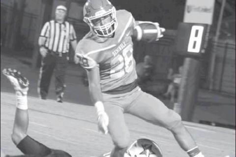 Article Image Alt Text