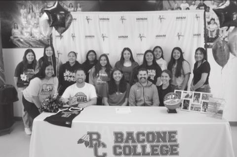 Varnum Lady Whippet Gabby