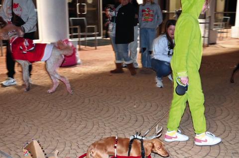 The Grinch did not steal Christmas, but they walked away with a $50 cash prize at Tuesday’s event at Snowman Wonderland. The “Santa Paws” event featured a pet costume contest and a benefit for the Seminole Animal Shelter. (Courtesy photo)