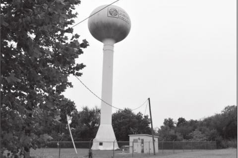 Article Image Alt Text