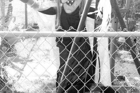 Article Image Alt Text