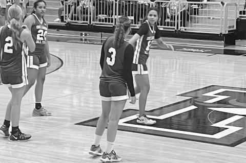 Four County Female Athletes Compete at State