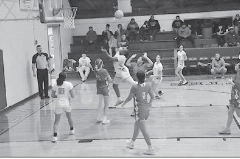 New Lima Falconette Aubrey Washington flies in for the layup Tuesday night at home against the Lady Chieftains Staff Photo by Bill Anderson
