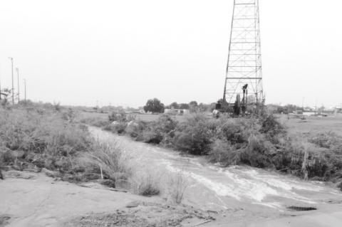 Article Image Alt Text