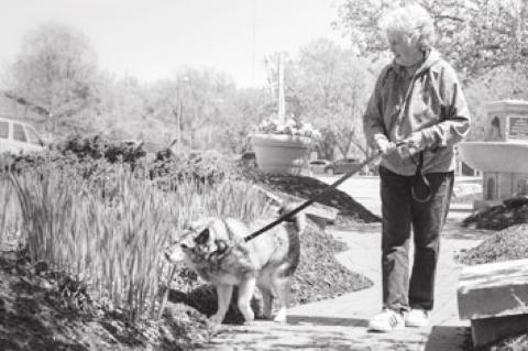 The Pet Boost: Furry Friends Help Seniors Feel Less Lonely