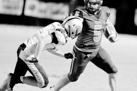 Article Image Alt Text