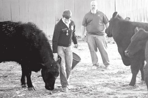 Oklahoma Beef Producers Facing Coronavirus Disruptions Head On