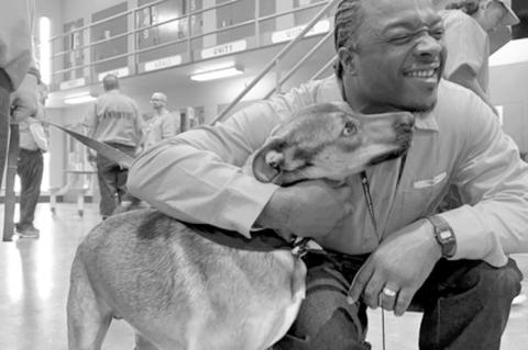 Program Gives Unwanted Animals ‘New Leash on Life’