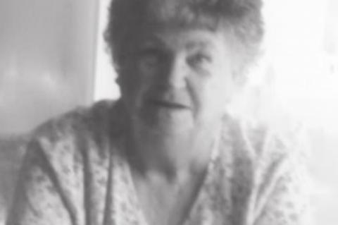 Article Image Alt Text